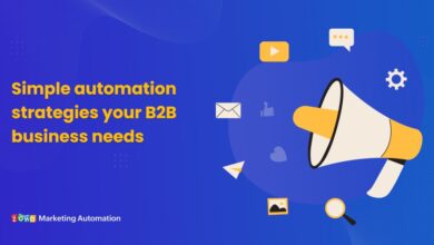 B2B biz dev automation