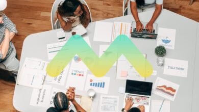 outsourced biz analytics